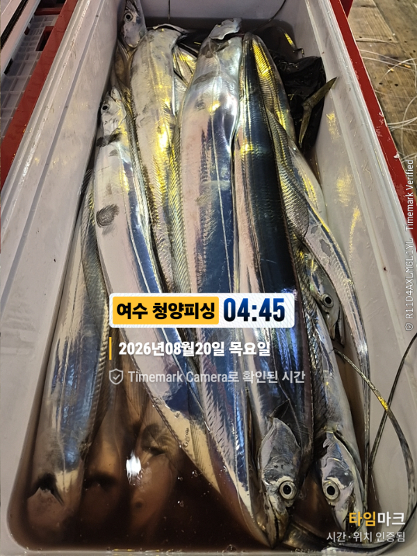 2026-08-20 04.45.13__(제목-여수 청양피싱).jpg
