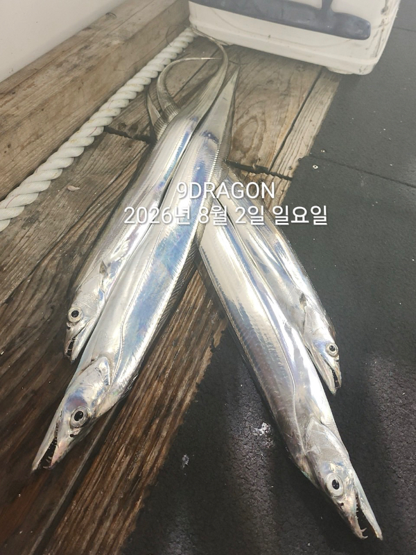 072111E8-DBF0-4ABF-961F-1AA0E8CB4FA8.jpeg