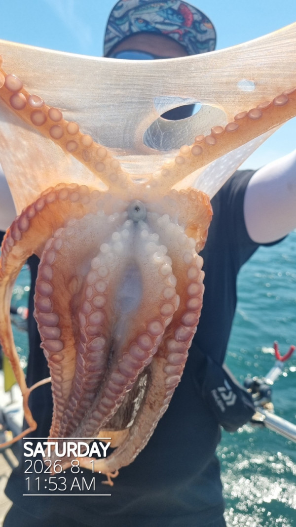 공현진낚시마트(돌핀호)_사진_20260801_11.jpg