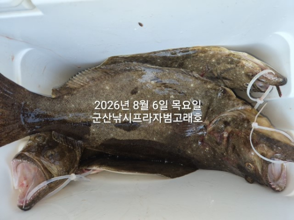 KakaoTalk_20260806_161146142_02.jpg