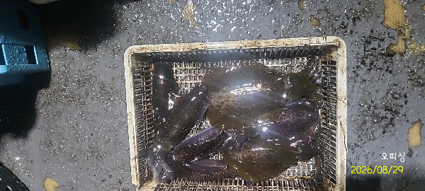 DateCamera0829233235.jpg