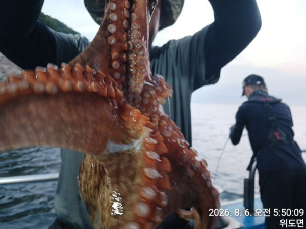 KakaoTalk_20260806_080413344_14.jpg