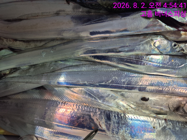 1000054516.jpg