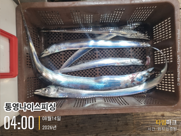 2026-08-14 04.00.23__(통영나이스피싱).jpg