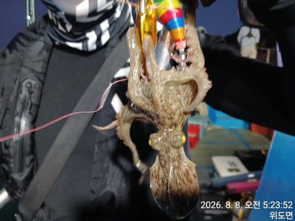 KakaoTalk_20260808_081955813_04.jpg