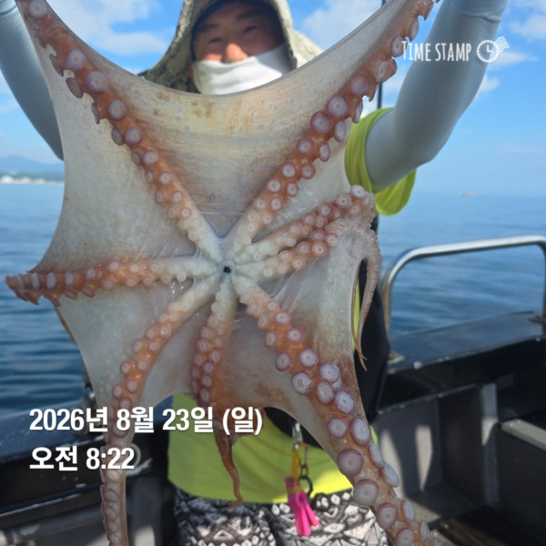 공현진낚시마트(돌핀호)_사진_20260823_2.jpg