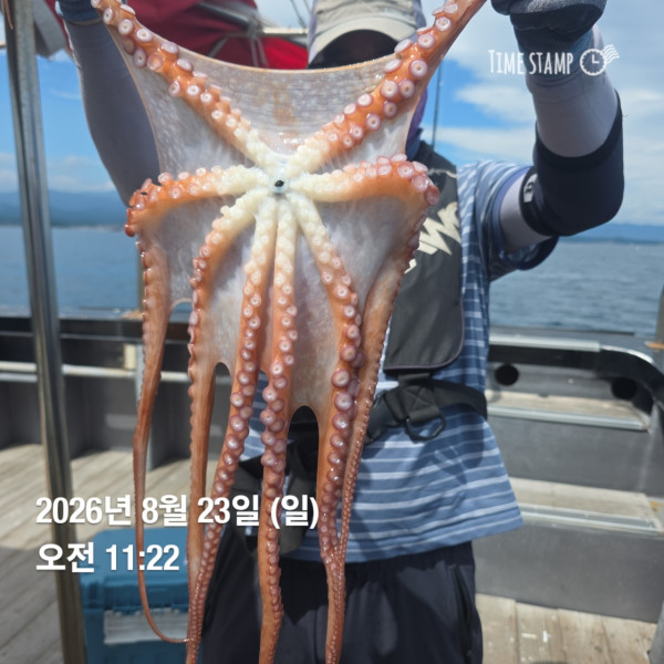 공현진낚시마트(돌핀호)_사진_20260823_4.jpg