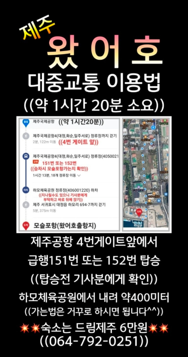 제주왔어호_사진_20260731_6.jpg