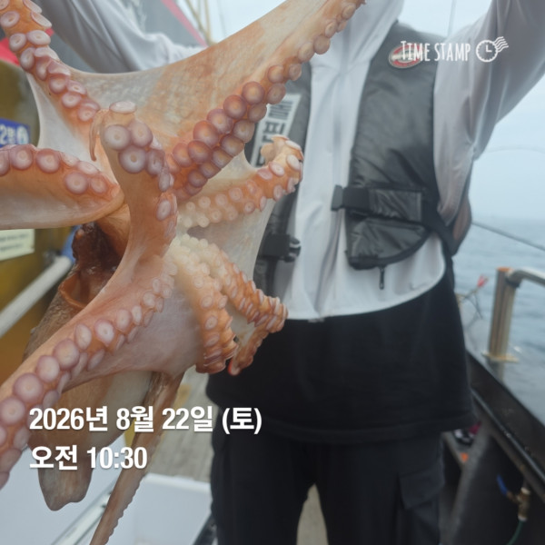 공현진낚시마트(돌핀호)_사진_20260822_7.jpg