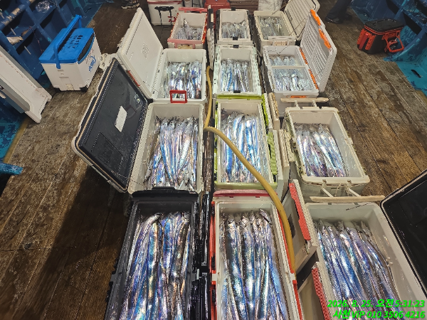 TimePhoto_20260825_053123.jpg