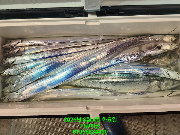 KakaoTalk_20260804_062631740_01.jpg