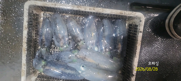 DateCamera0828234042.jpg