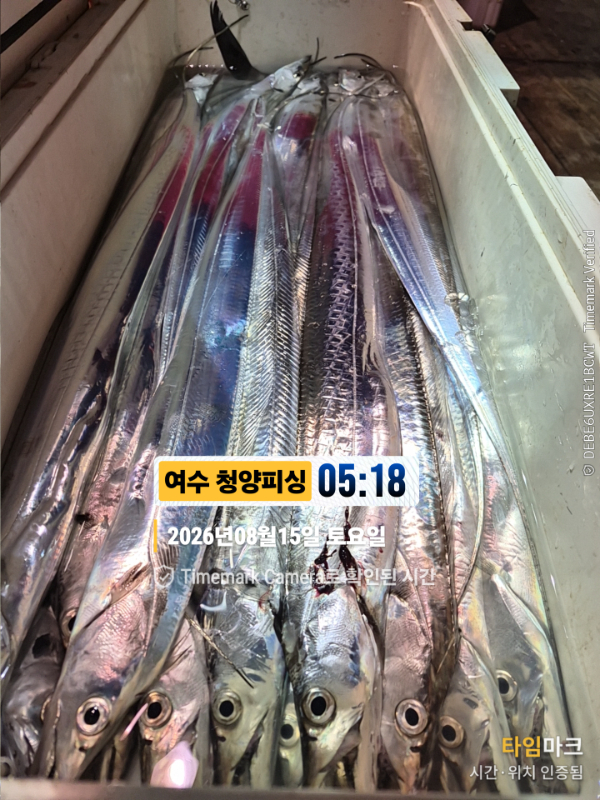 2026-08-15 05.18.24__(제목-여수 청양피싱).jpg