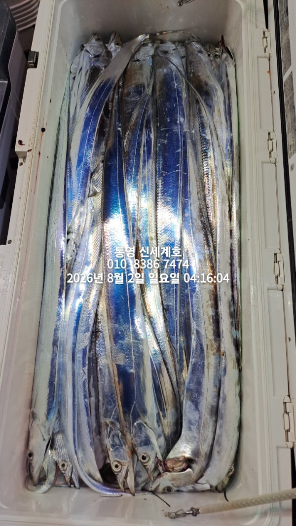 1785619196210.jpg