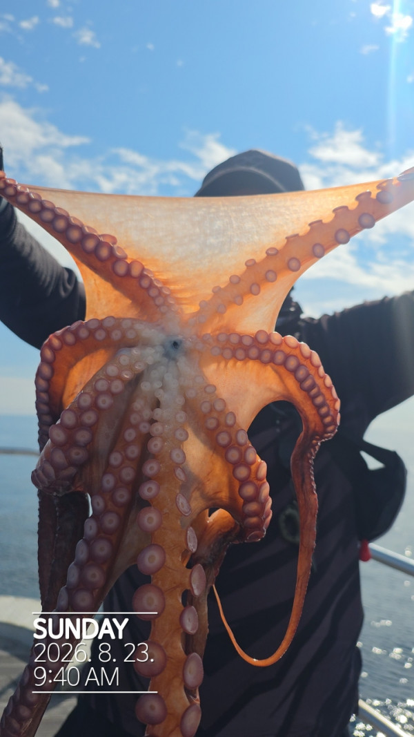 공현진낚시마트(돌핀호)_사진_20260823_4.jpg