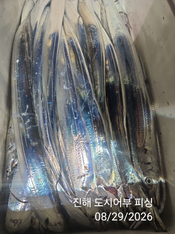 KakaoTalk_20260829_050630697_14.jpg