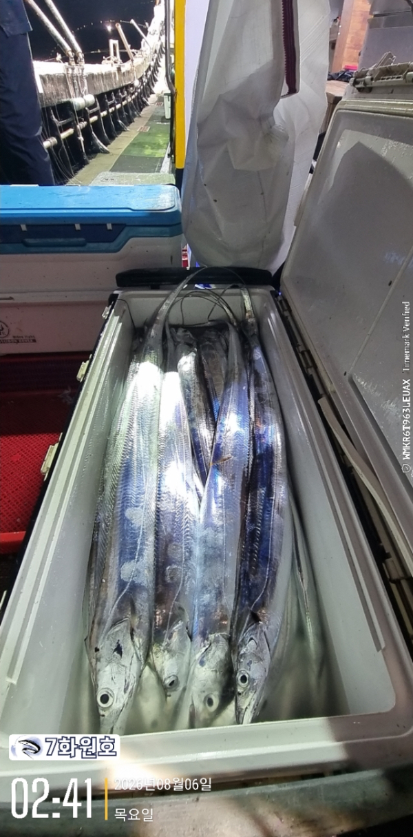 9433DD77-504D-4714-9AAB-BF0EC0D1D1AC.jpeg