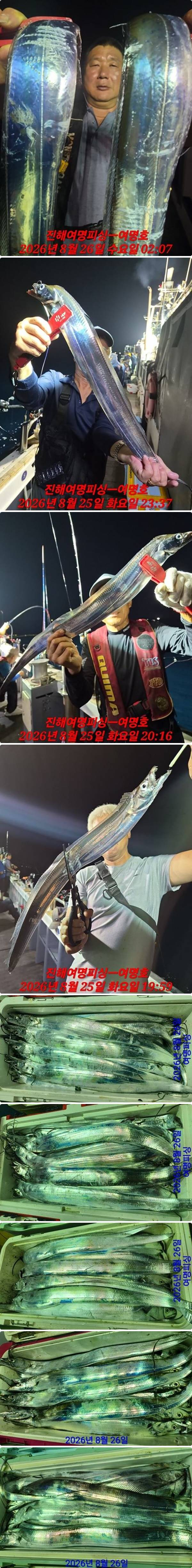 26일갈치중.jpg