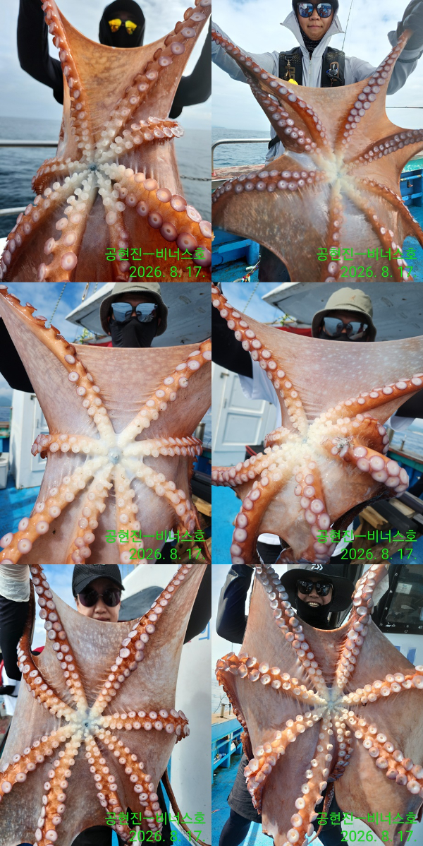Resized_IMG_20260817_092125-tile.jpg