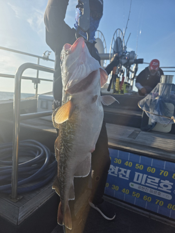 공현진낚시마트(돌핀호)_사진_20260801_2.jpg