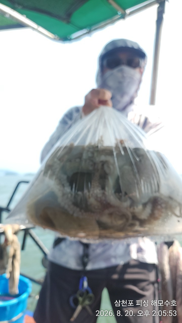 IMG20260820_140553.jpg