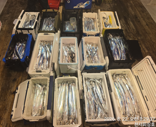 1004피싱_사진_20260823_1.jpg