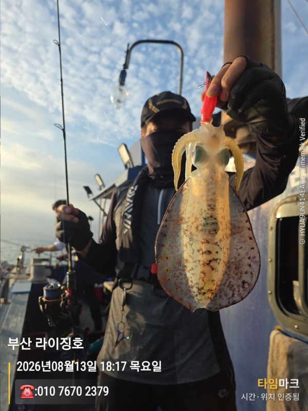 2026-08-13 18.17.53__(제목-부산 라이징호)_(-010 7670 2379).jpg