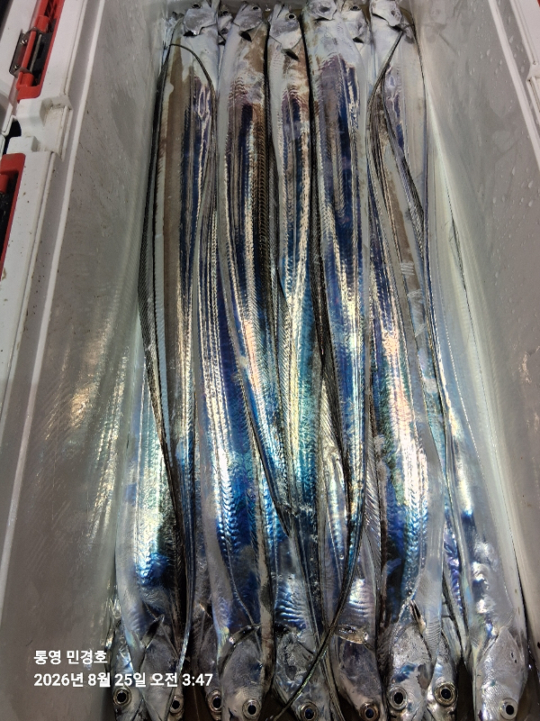 99F2CBEE-E47C-4F85-A471-185CAE816D60.jpeg