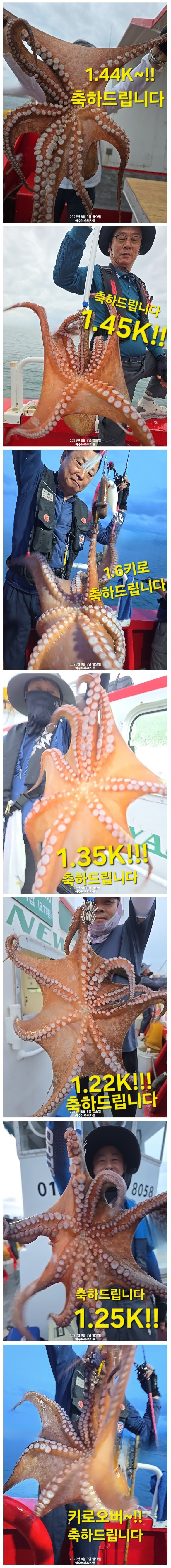 25964.jpg
