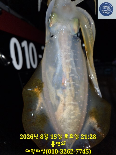 12225.jpg