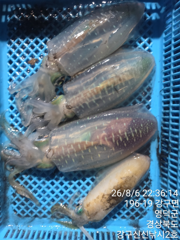 신신낚시 강구점 신신호_사진_20260807_9.jpg