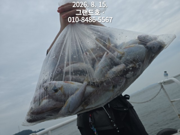 1000032735.jpg
