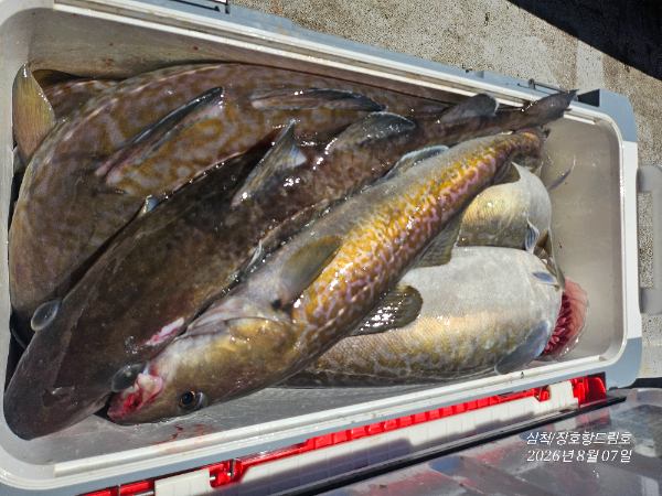 20260807_122110.jpg