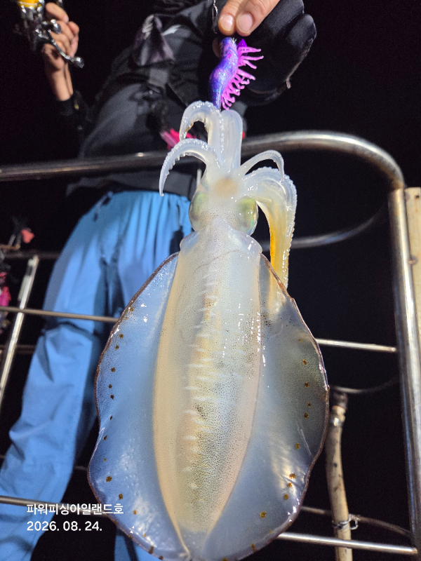 20260824_220426.jpg