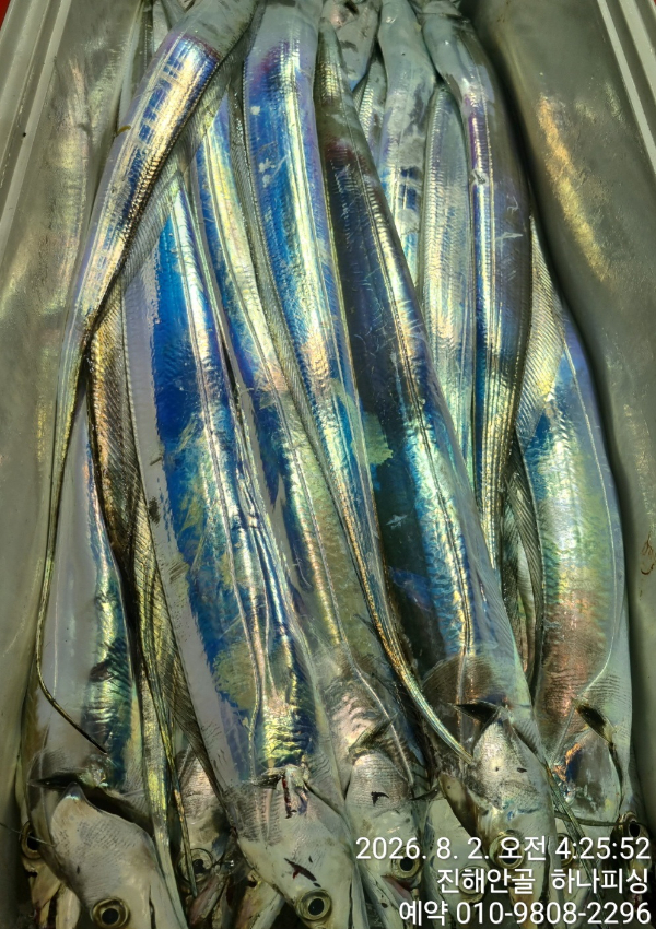 100154.jpg