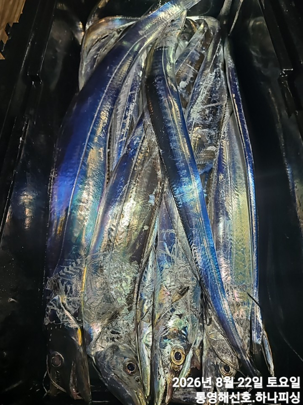1787339055871.jpg