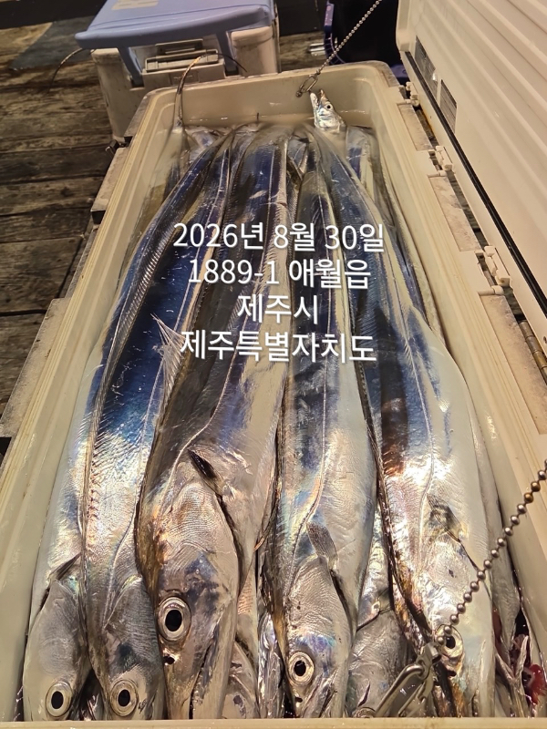 1C3B75FB-B832-4360-937F-221F01CC2CB9.jpeg