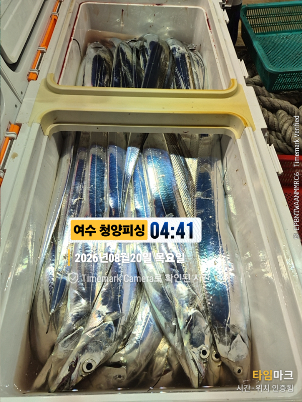 2026-08-20 04.41.08__(제목-여수 청양피싱).jpg