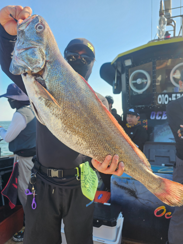 20260807_163641.jpg