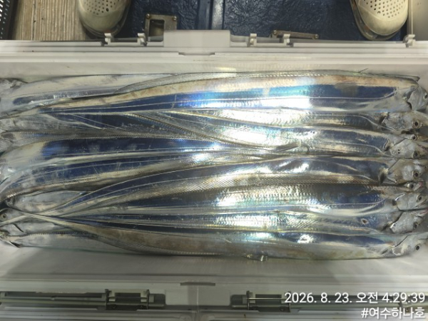 KakaoTalk_20260823_044416086_14.jpg