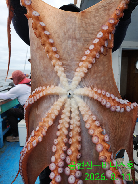 Resized_IMG_20260811_124459.jpg