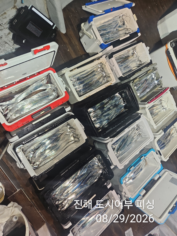 KakaoTalk_20260829_050630697_10.jpg