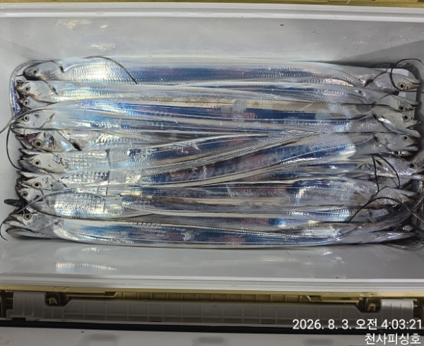 1004피싱_사진_20260803_9.jpg