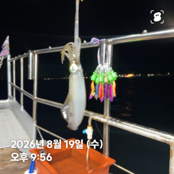 신신낚시 강구점 신신호_사진_20260820_13.jpg
