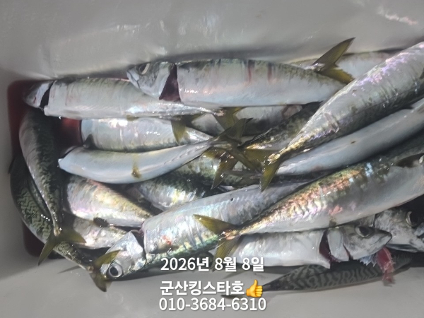 BandPhoto_2026_08_08_07_09_40_14.jpg
