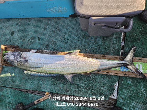 KakaoTalk_20260802_085751556_02.jpg