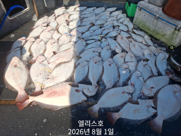 KakaoTalk_20260801_200906027_06.jpg