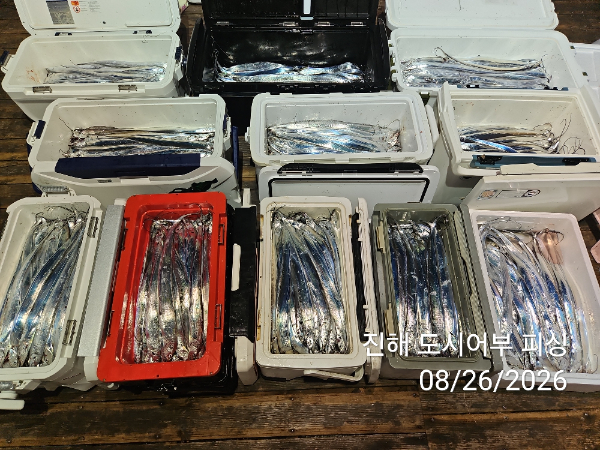 KakaoTalk_20260826_052535049_08.jpg