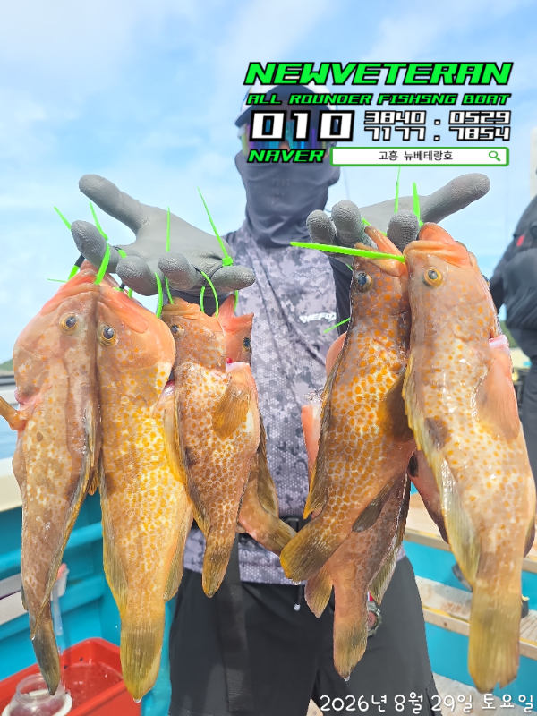 61215.jpg