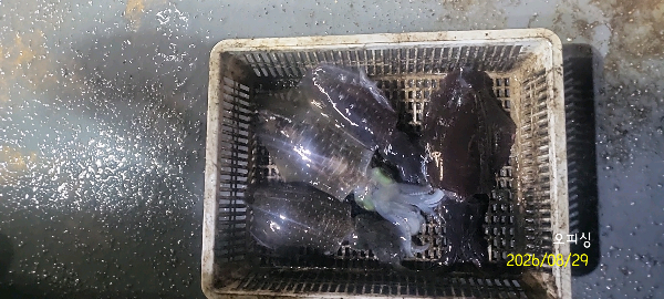 DateCamera0829232802.jpg